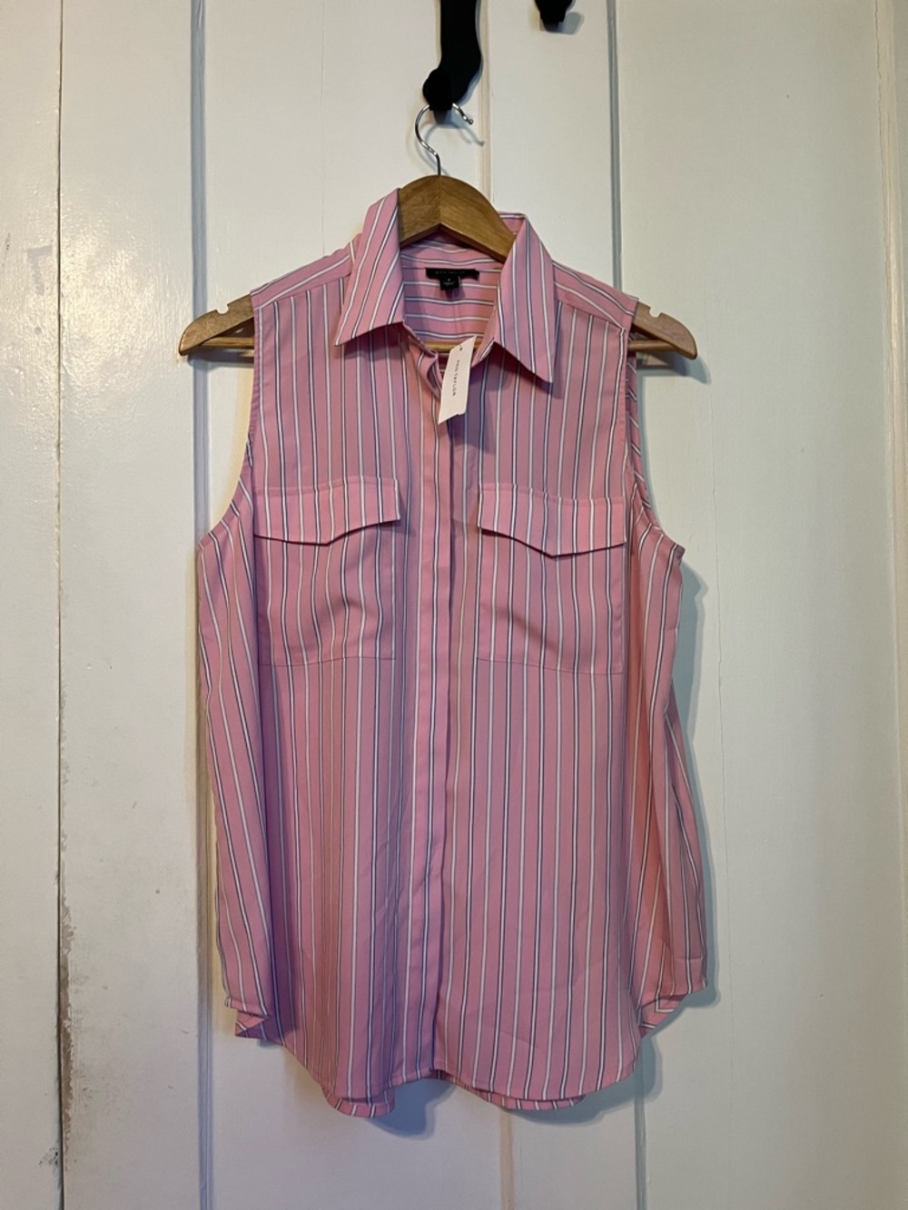 Ann Taylor Sleeveless Pink Striped Button-Up Blouse